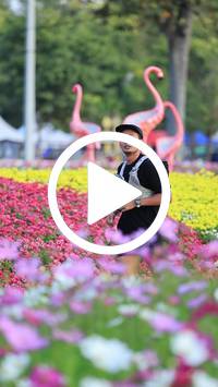 BIB:  <button type="button" onclick="openModal(27583197)" class="btn btn-primary btn-sm float-right" data-toggle="modal" data-target=".modal-high-quality">
                <i class="fa fa-download"></i> Download
                </button>